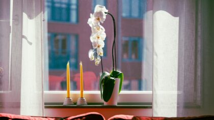Slik gir du vinduskarmen mer karakter med tekstiler, planter og små detaljer