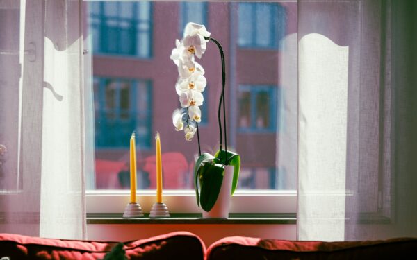 Slik gir du vinduskarmen mer karakter med tekstiler, planter og små detaljer